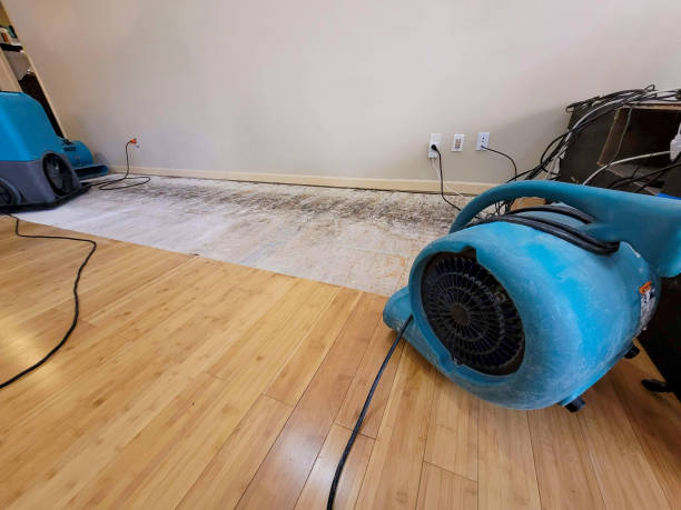 Professional Structural Drying technician working in Ocoee, FL